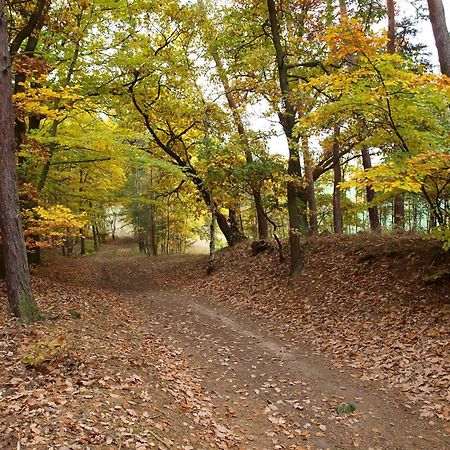 Penzion U Kukacku Горні-Плана Екстер'єр фото